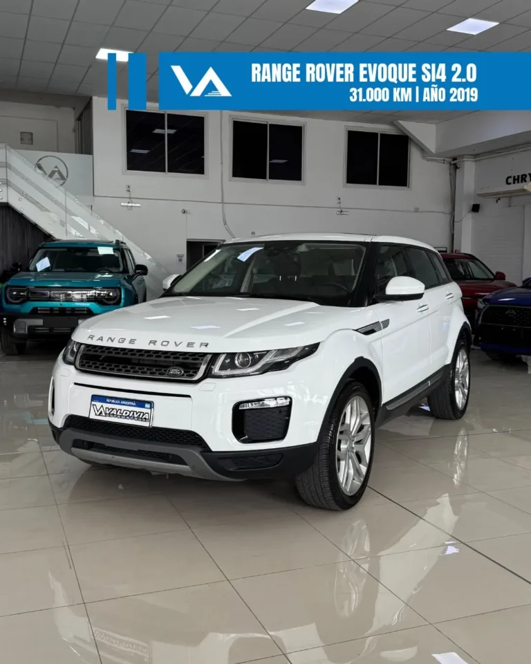 WhatsApp-Image-2026-02-10-at-12.05.40-PM